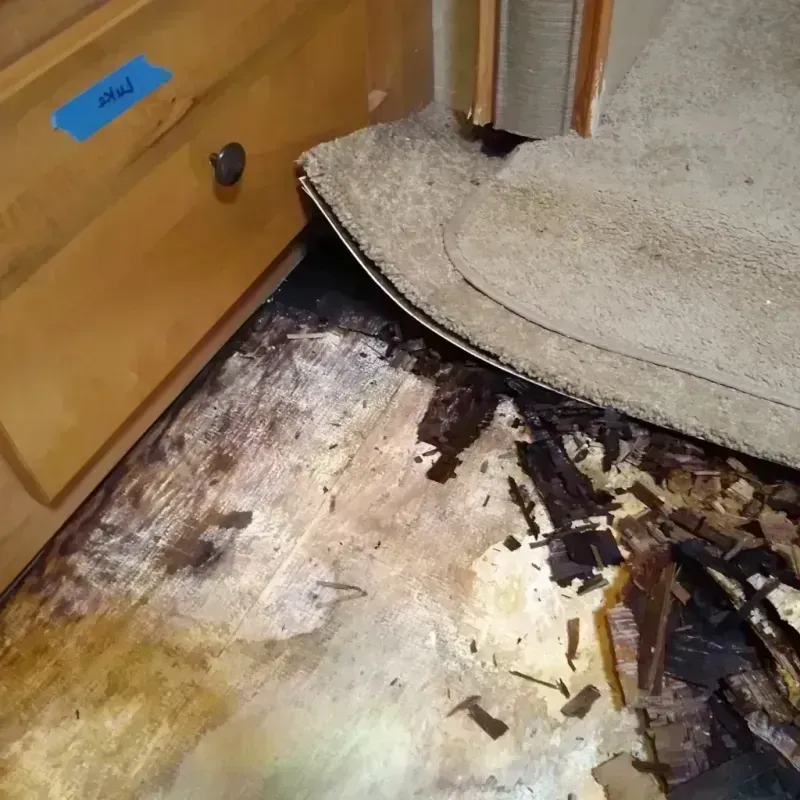 Wood Floor Water Damage in Thermal, CA